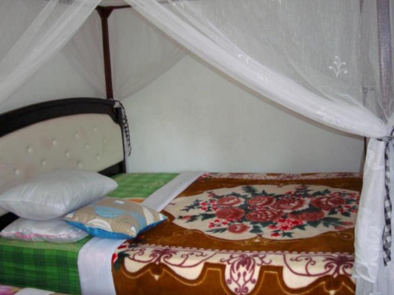 Standard Double room with balcony and with view full double bed