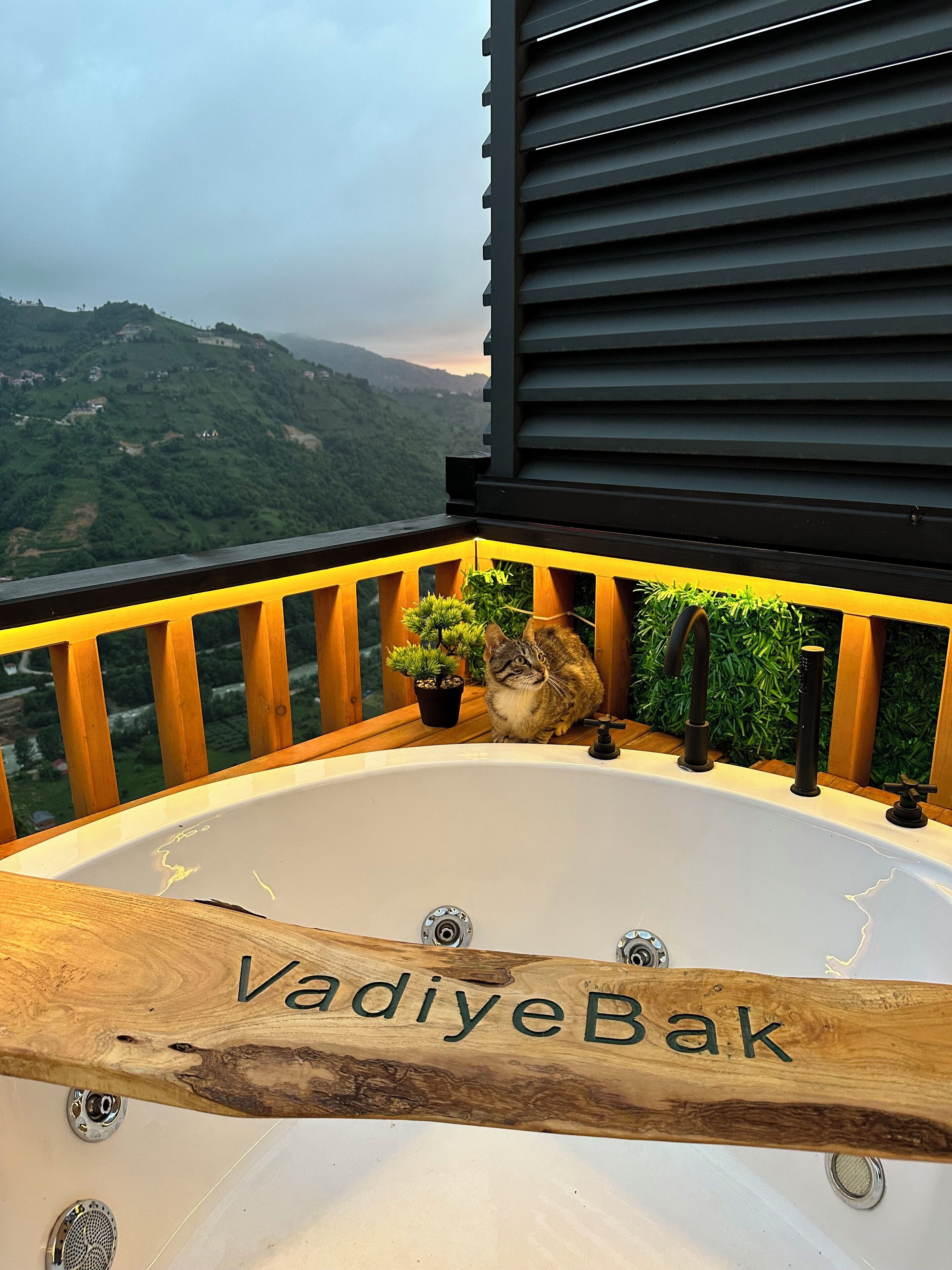 Vadiyebak Suit Bungalov - Ardeşen