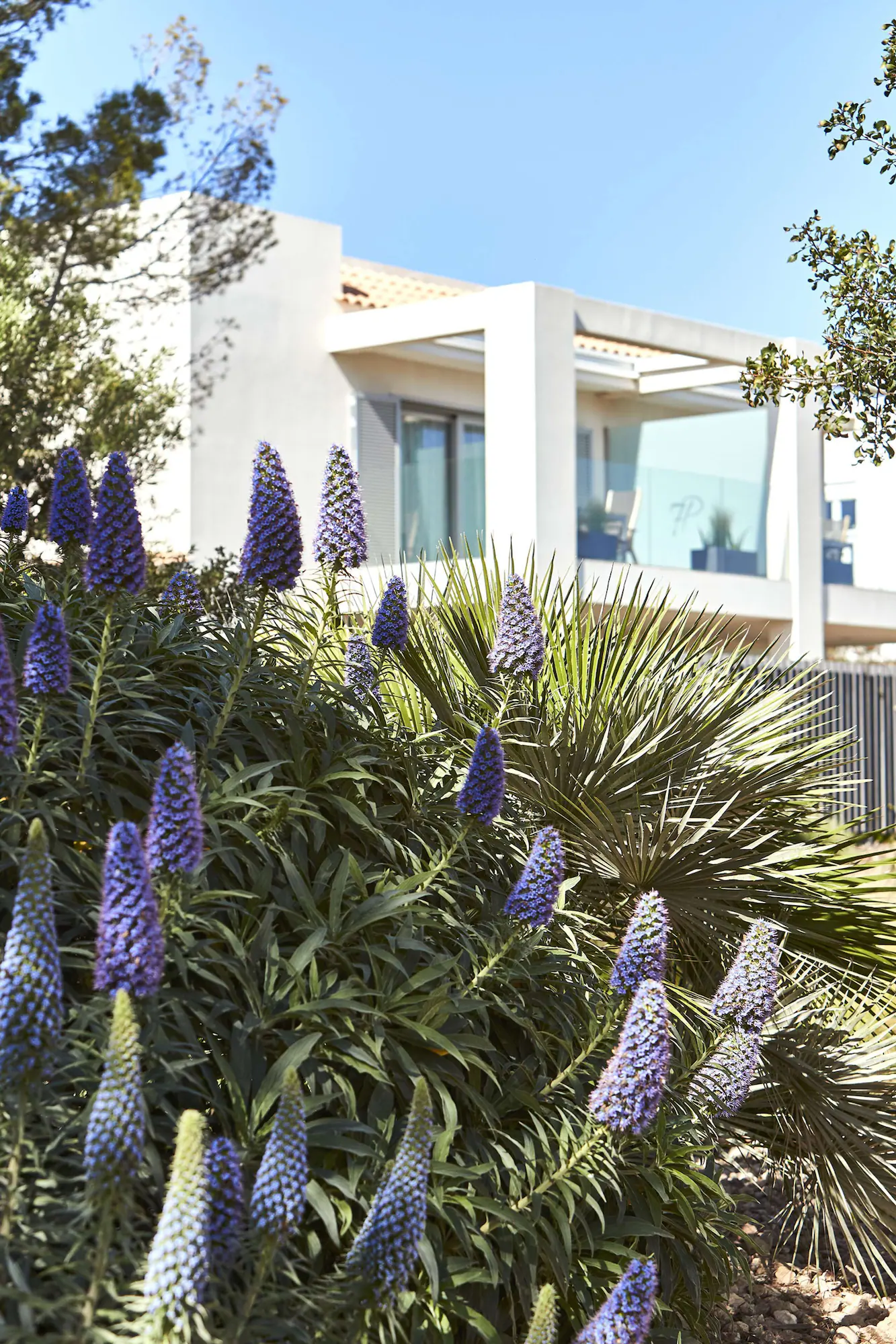 7Pines Resort Ibiza - Destination by Hyatt exterior