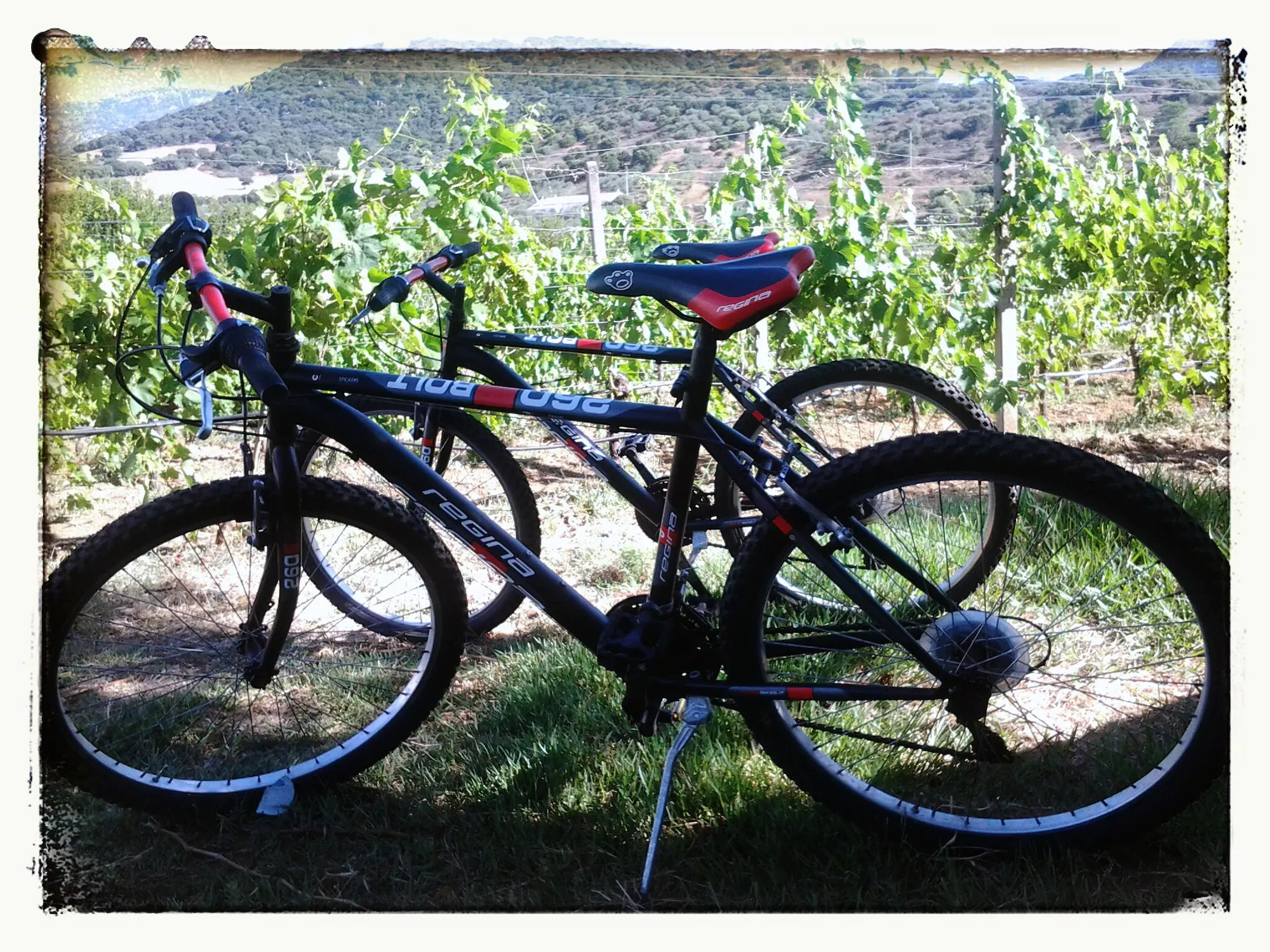 2 Bedrooms Single Apartment single bed