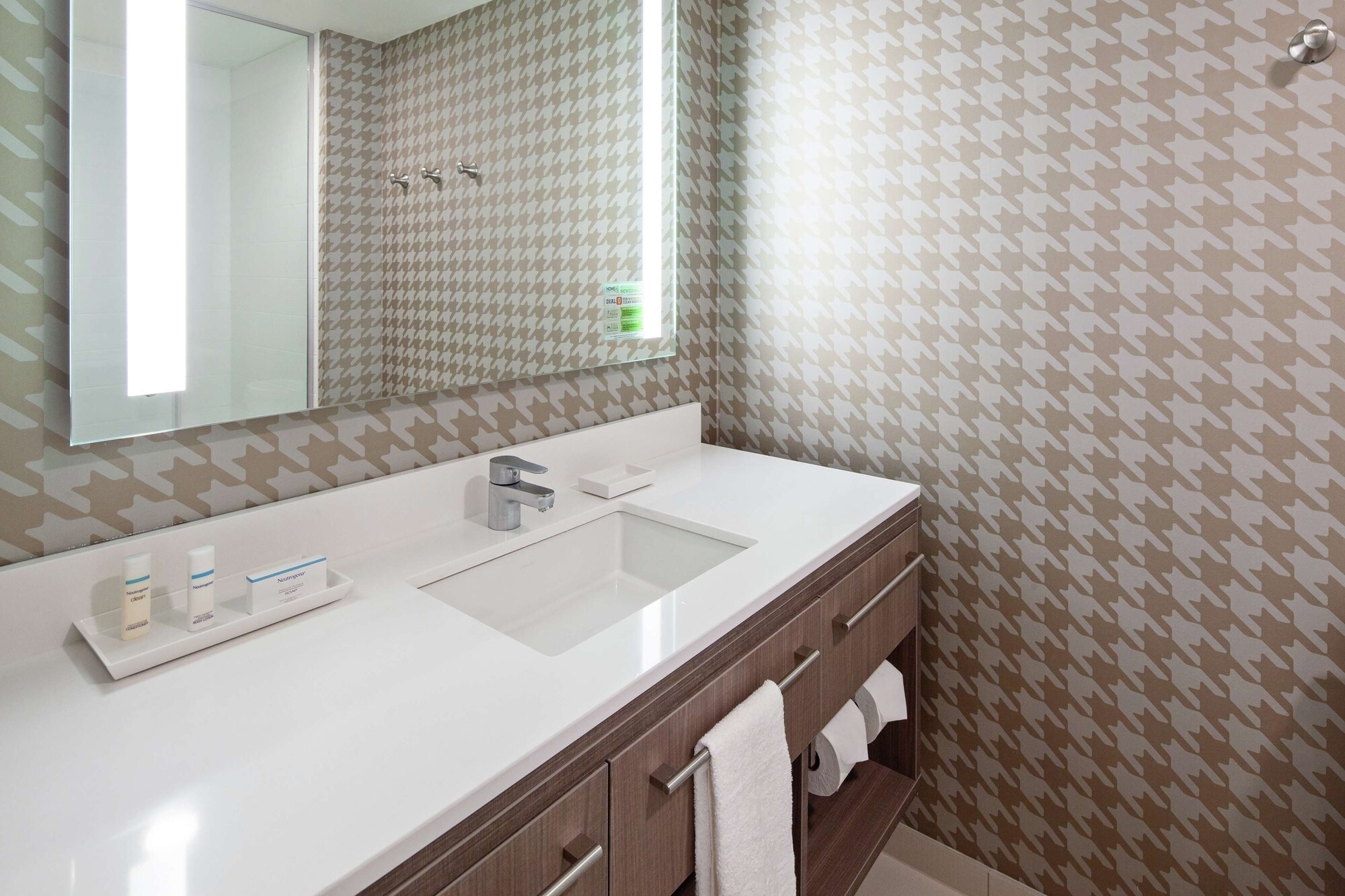 1 Bedroom Single Suite
