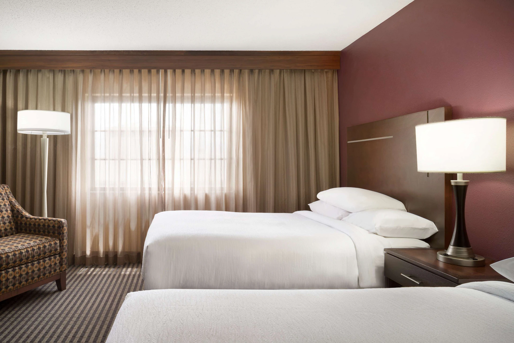1 Bedroom Single Suite
