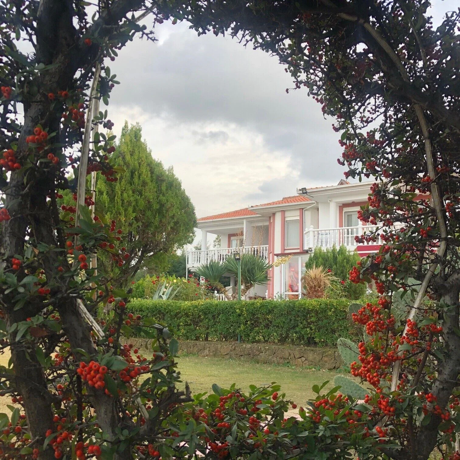 Cunda Aşiyan Otel - Gömeç