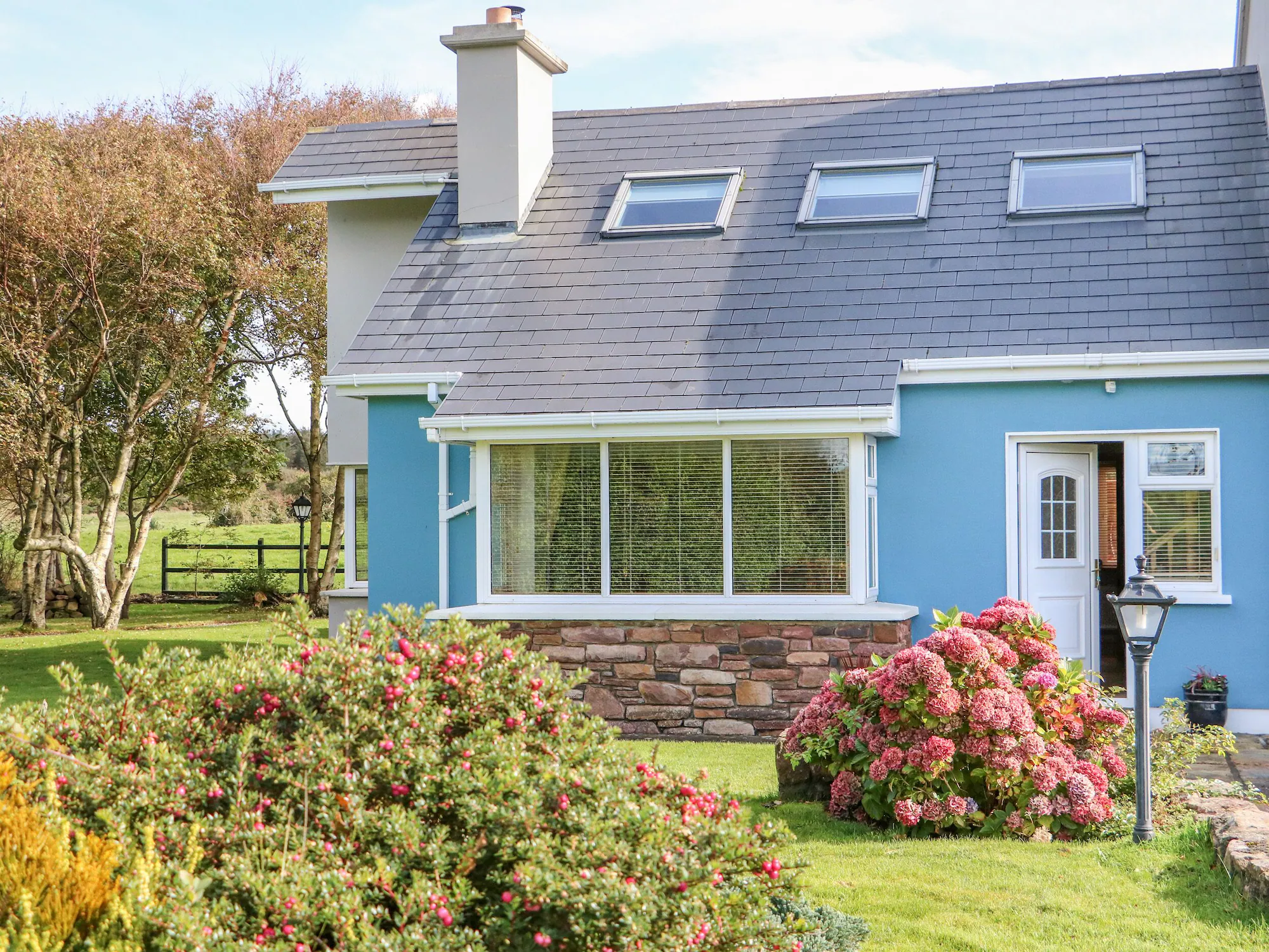 The Blue Annex - Tralee