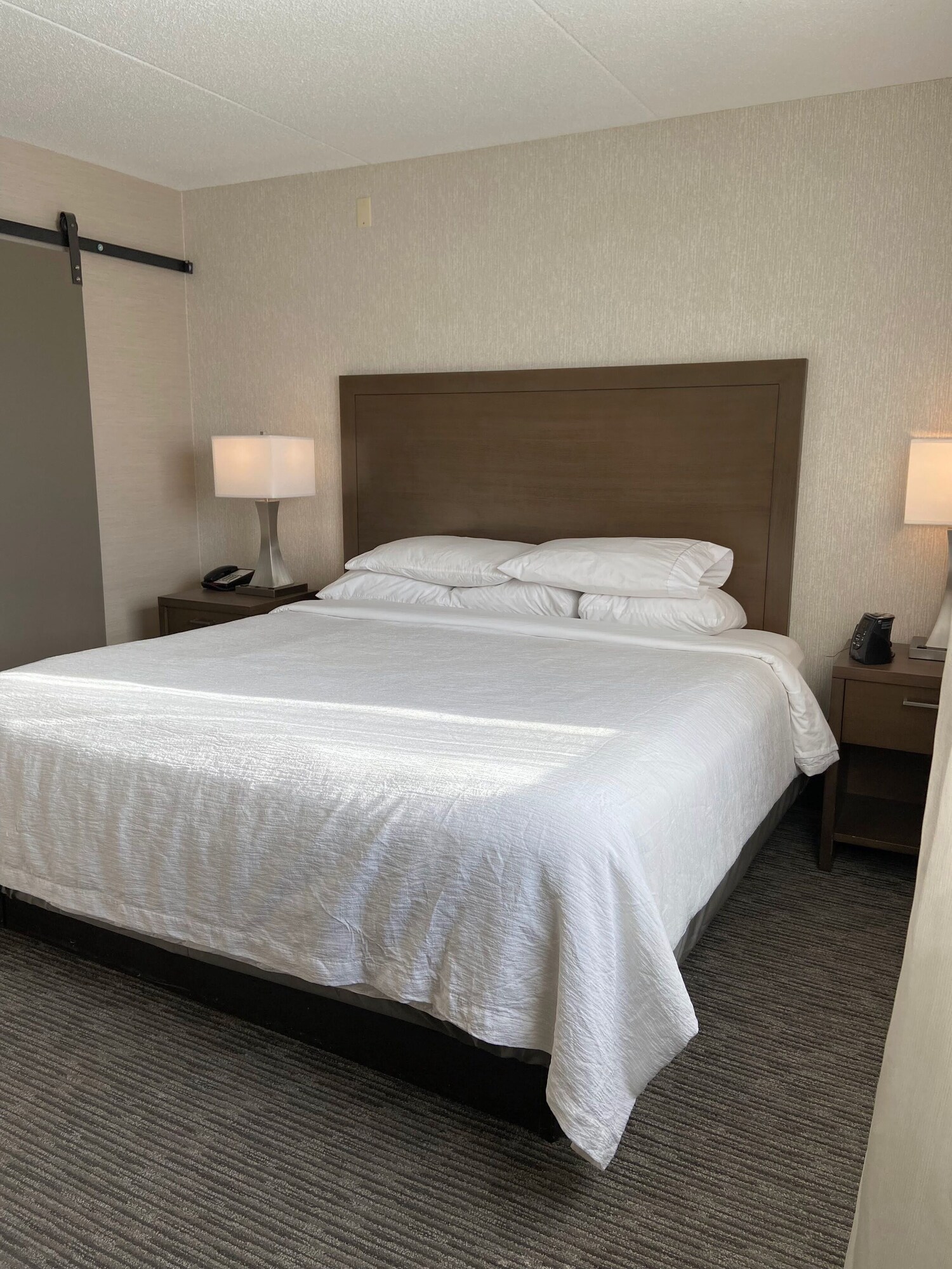 1 Bedroom Single Suite