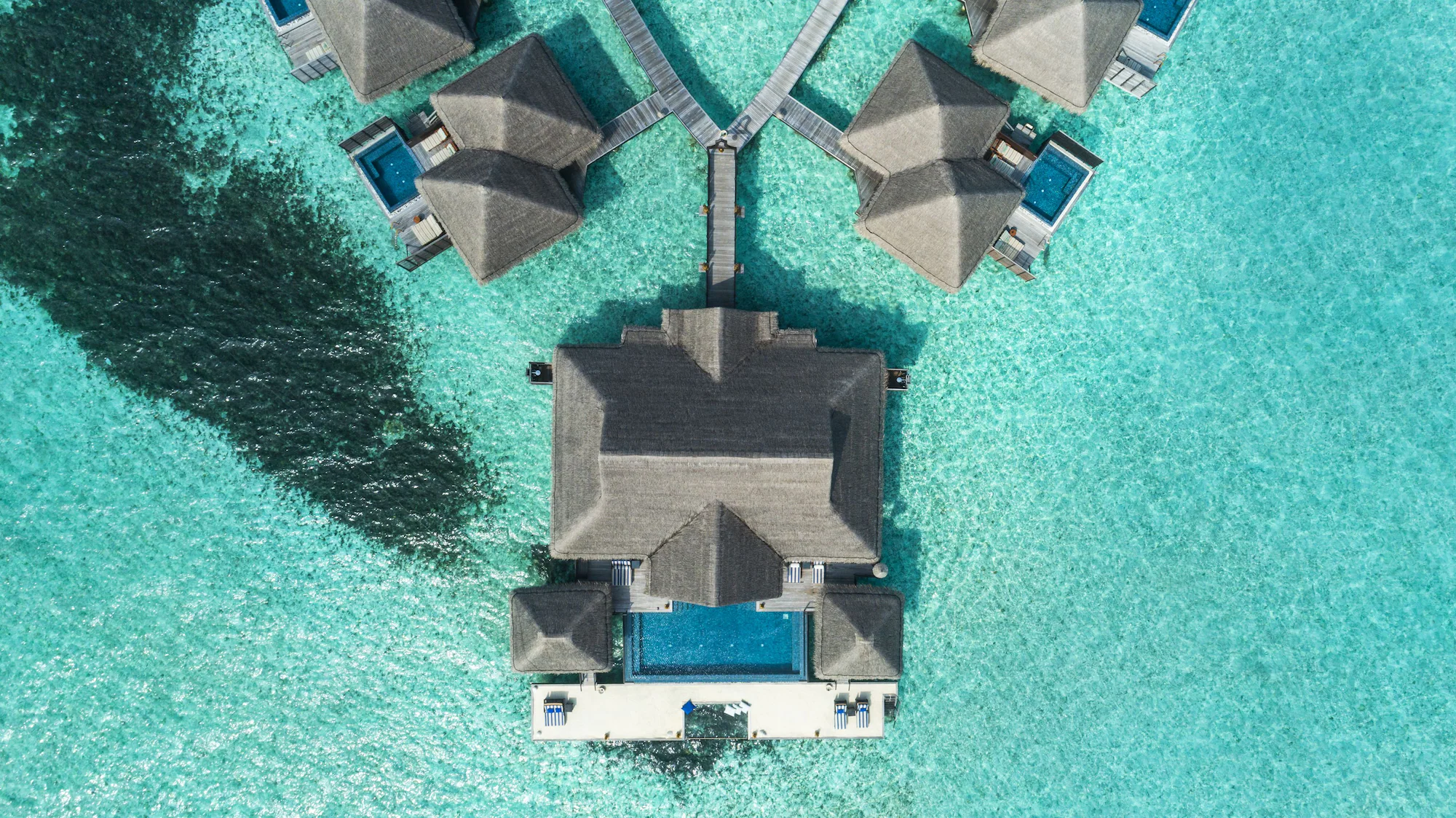 1 Bedroom Beach Double Suite full double bed