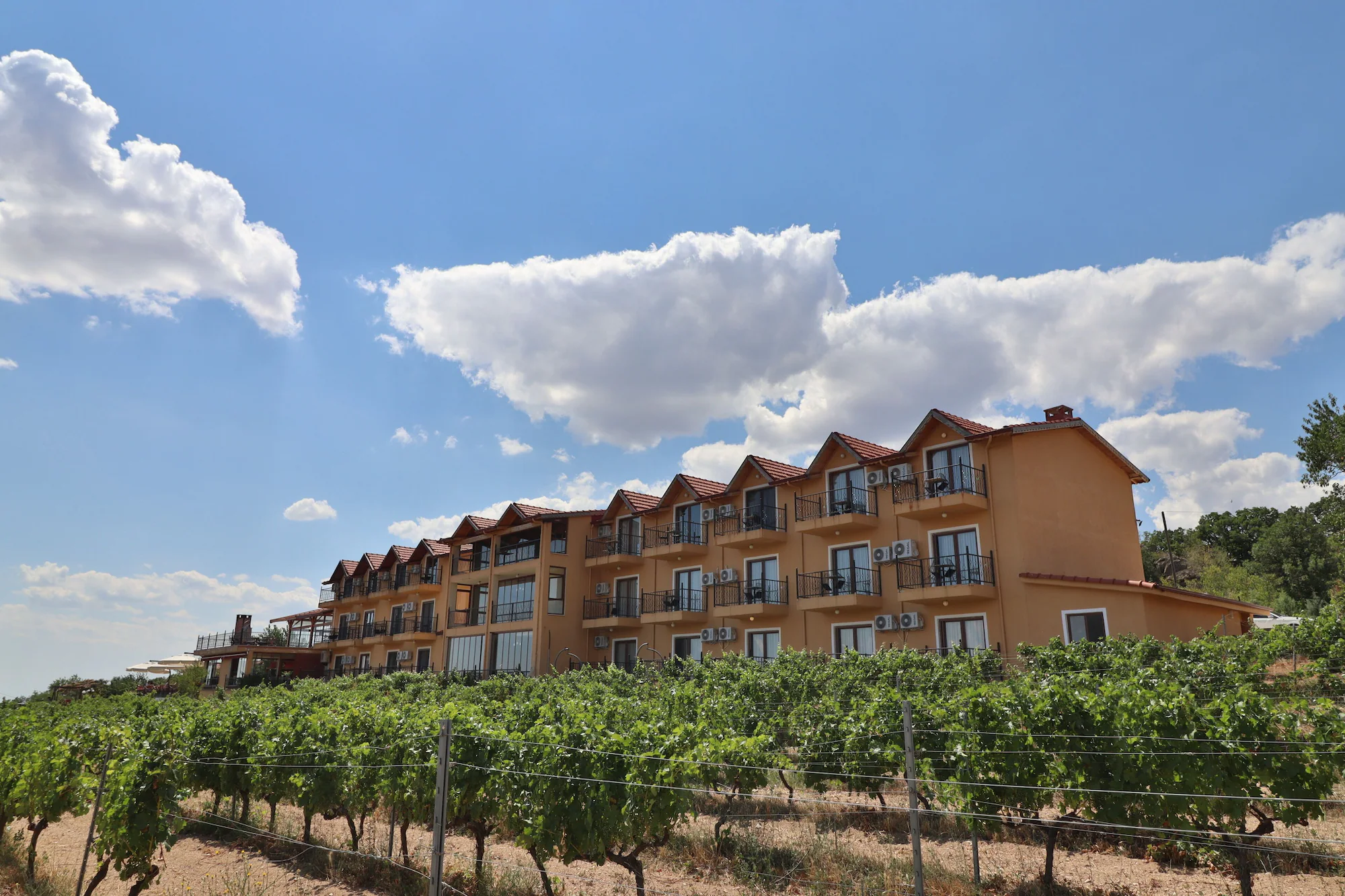 Dessera Vineyards Hotel - Lüleburgaz