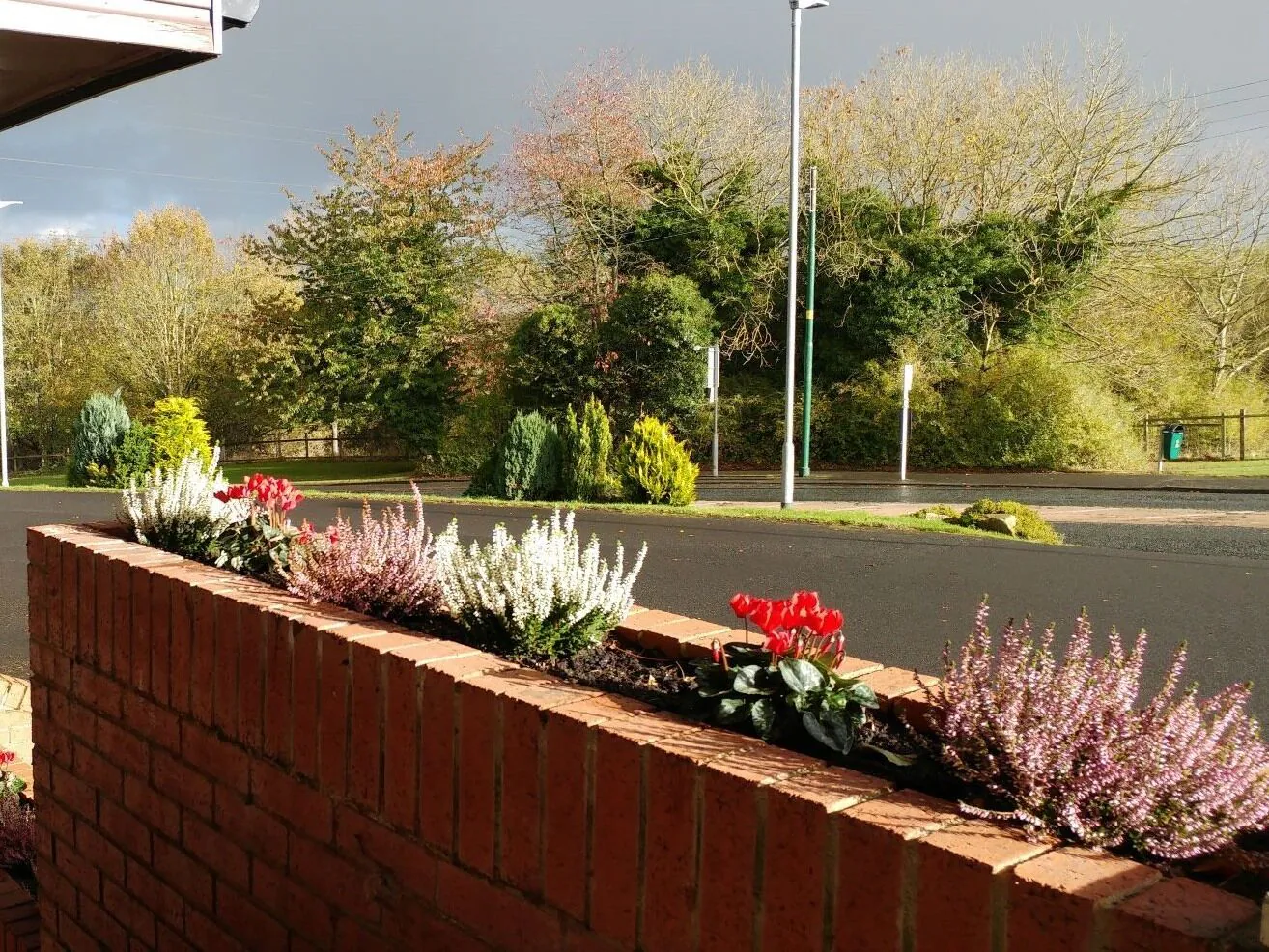 Single Studio single bed