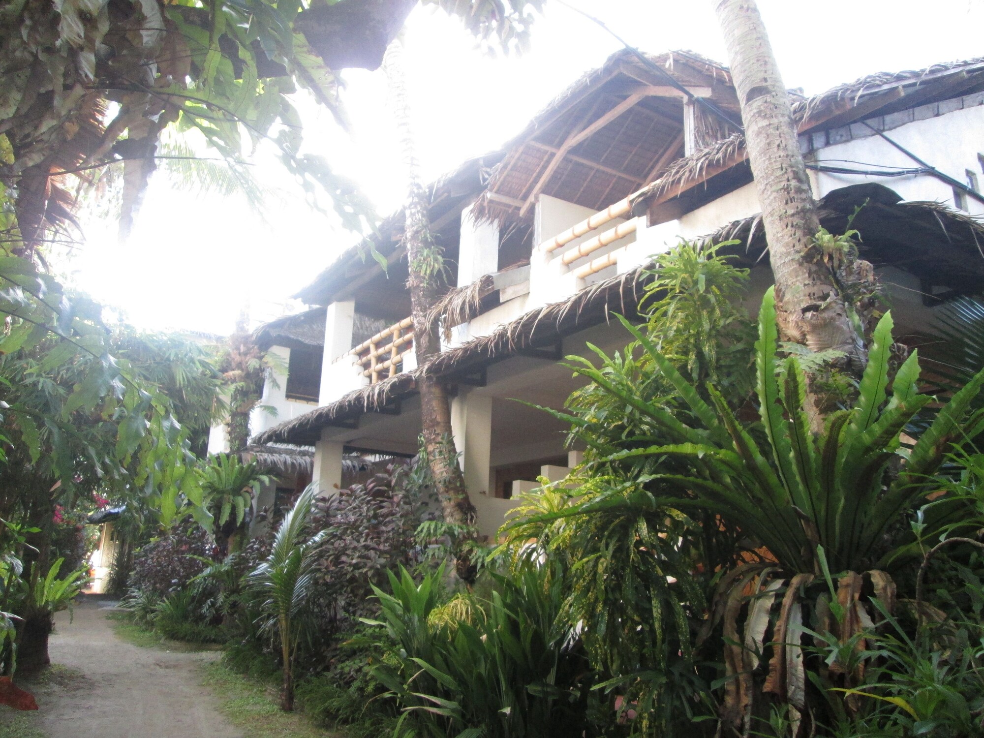Bamboo Bungalow Resthouse exterior