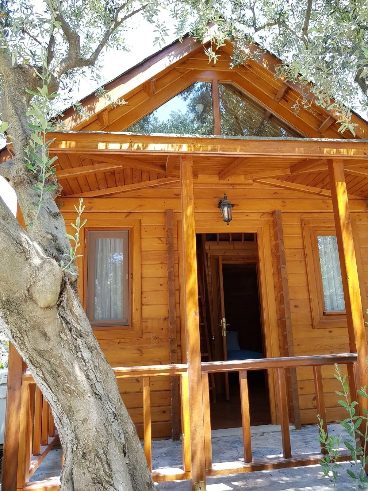 Yelkovan Zeytin Evi - Şarköy