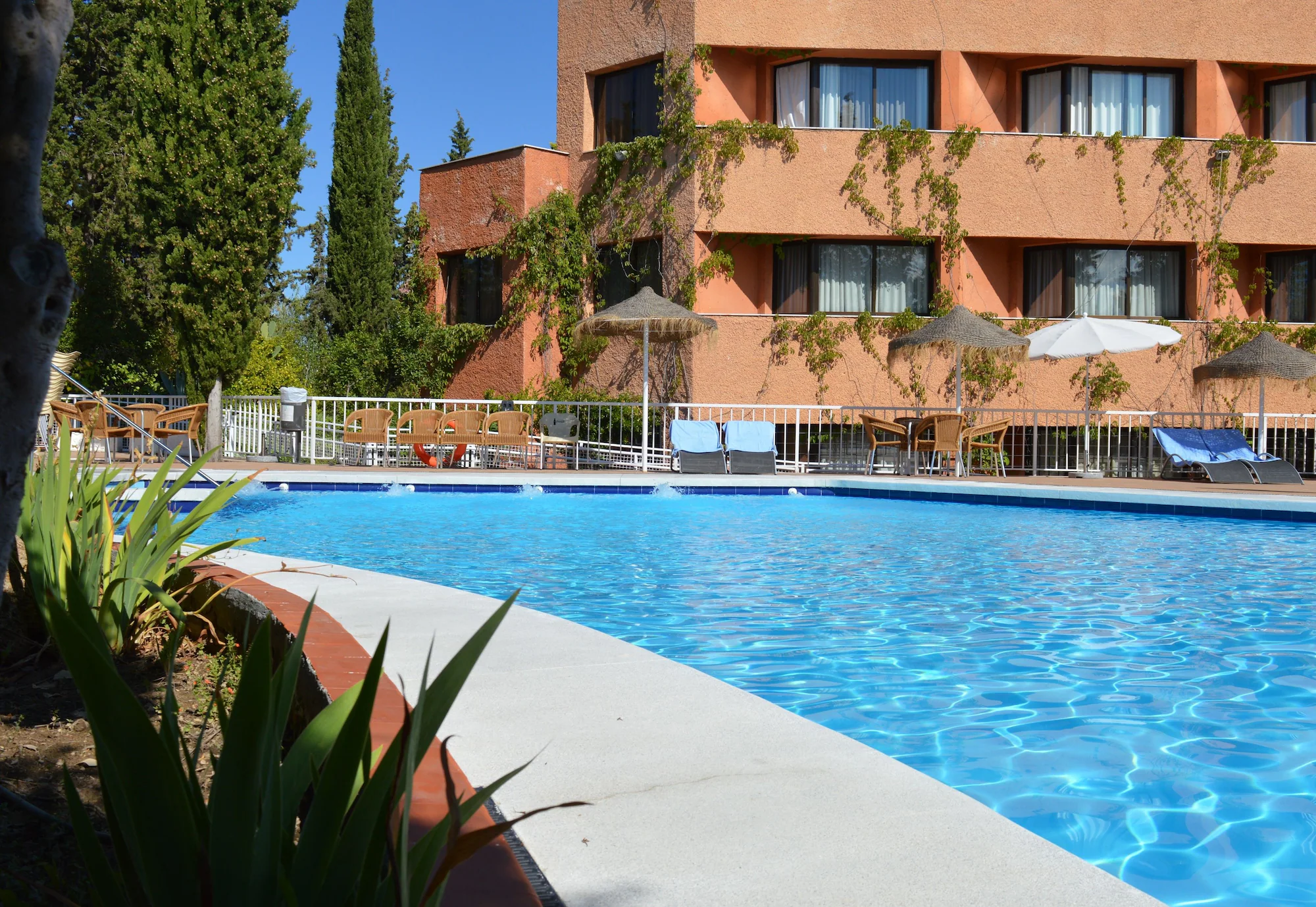 Porcel Alixares — photo 42