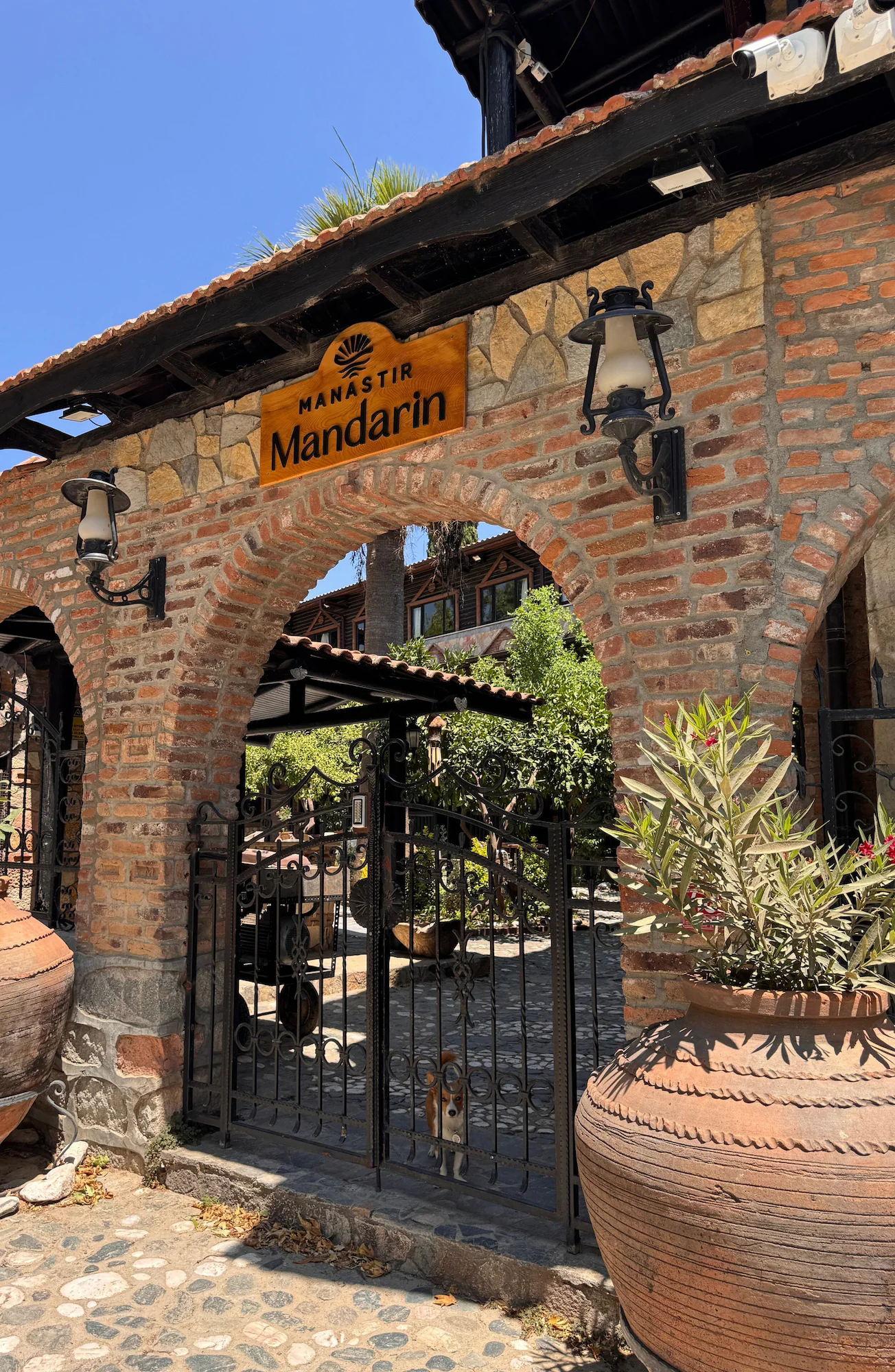 Manastır Mandarin - Güre
