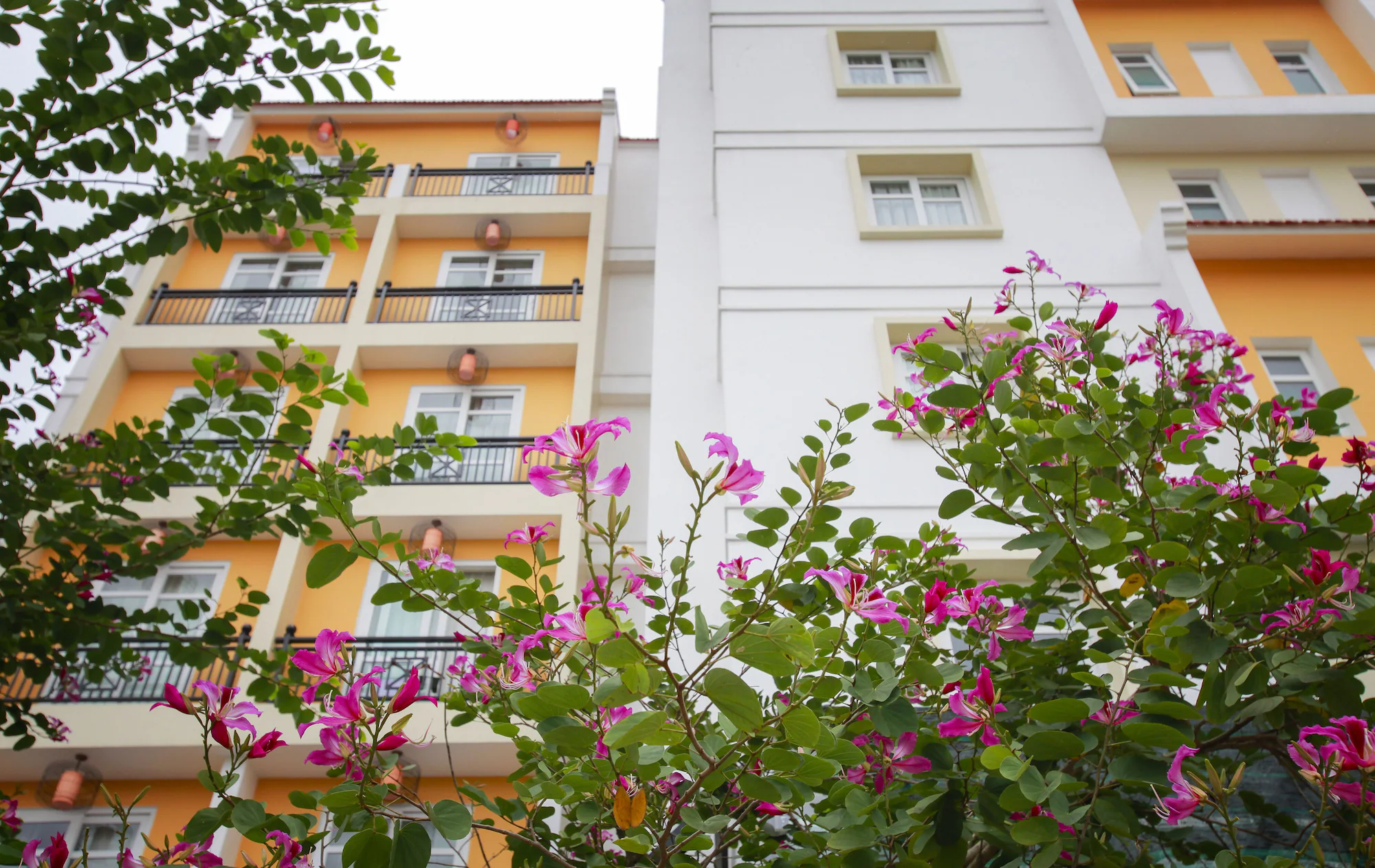 Comfort Double room with river view full double bed