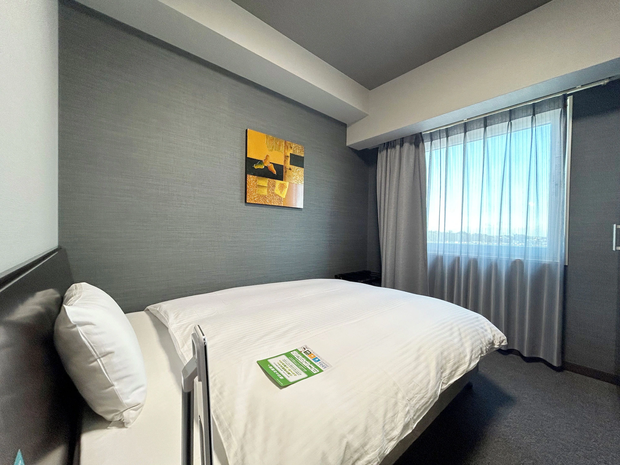 Business Double room with city view twin beds