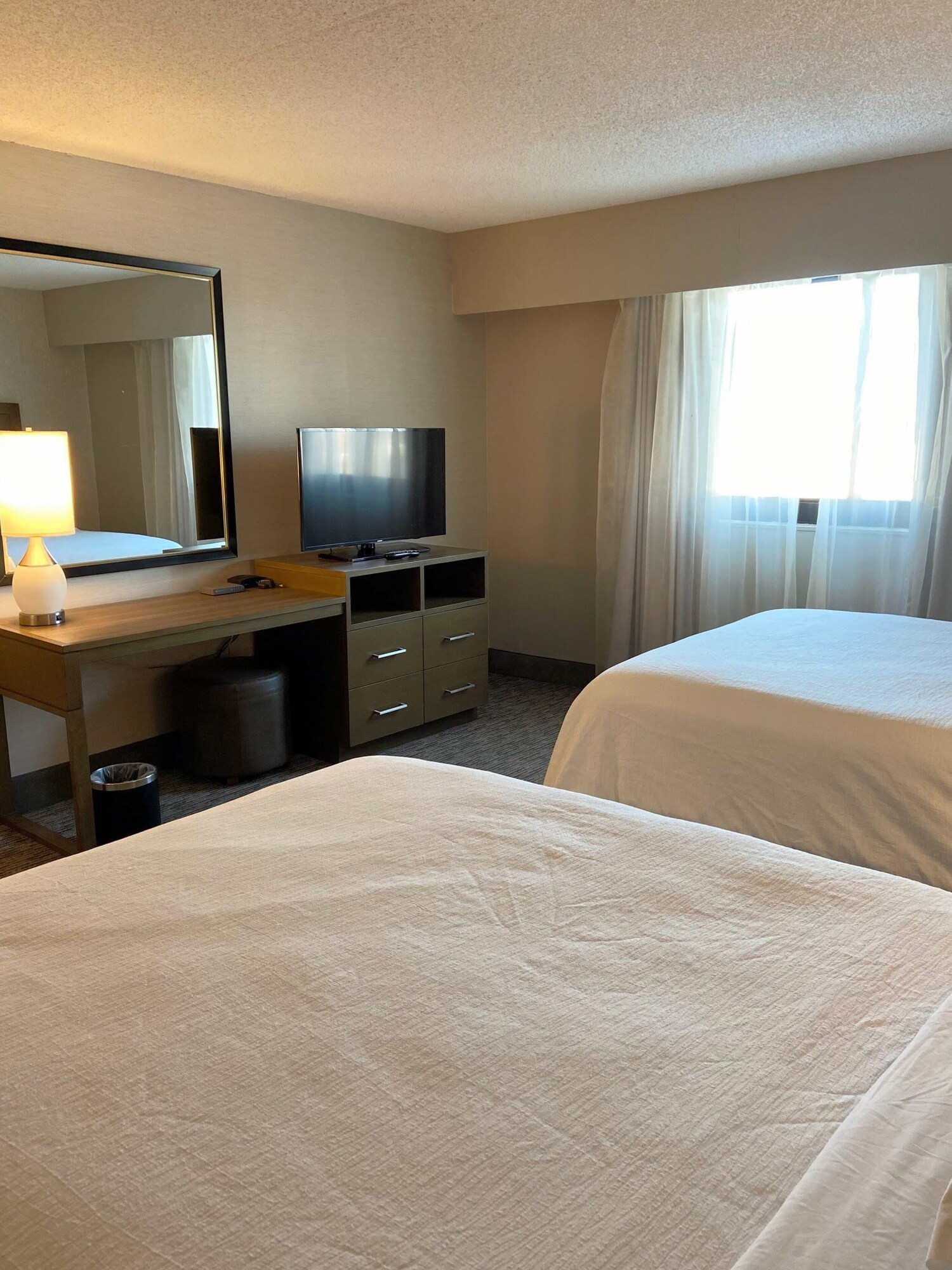 1 Bedroom Quadruple Suite