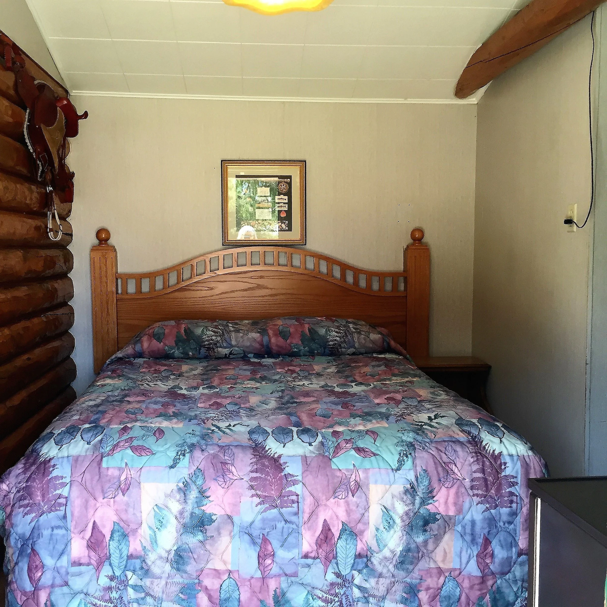 Z-Bar Cabins & Motel exterior