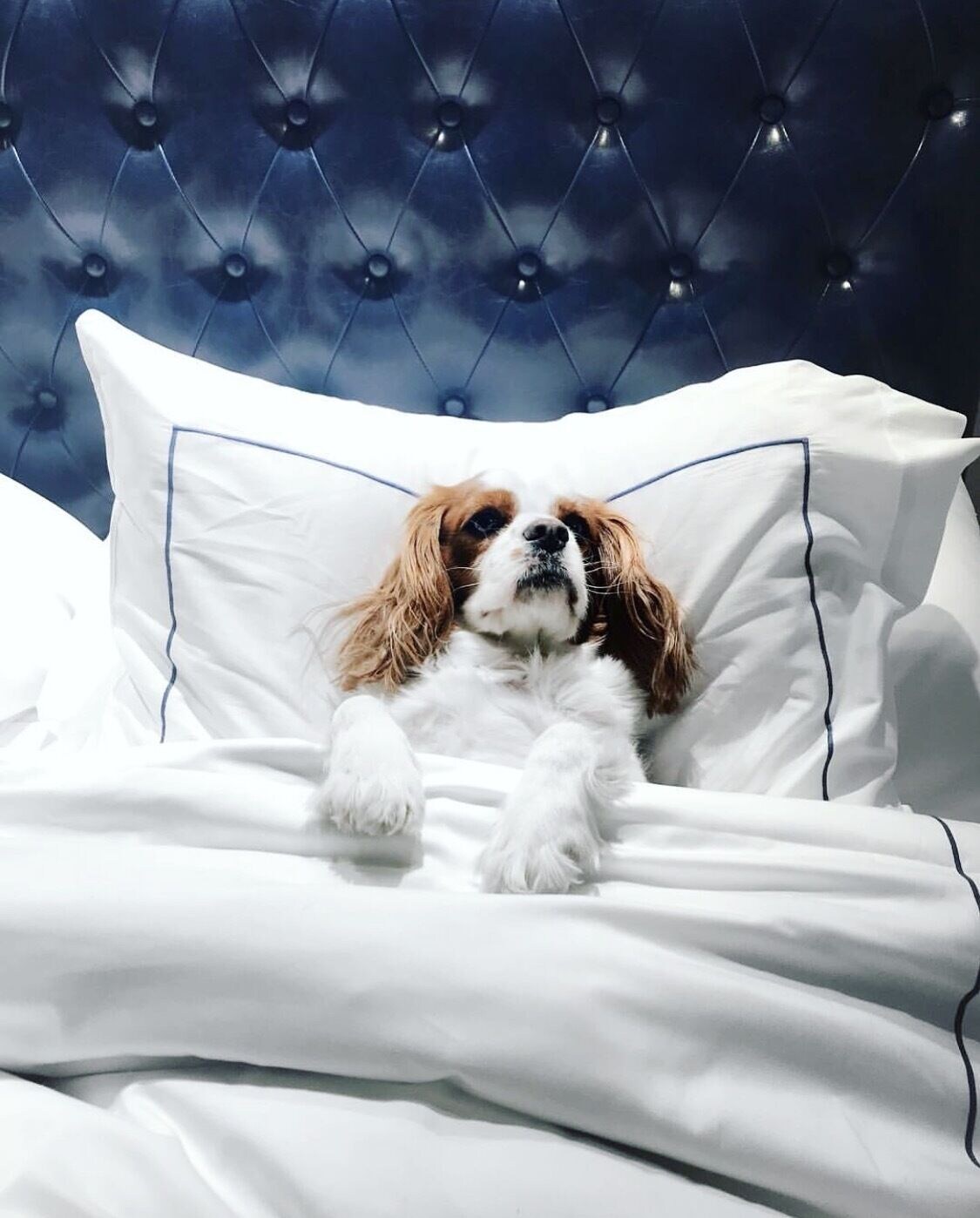 Deluxe Double Suite full double bed