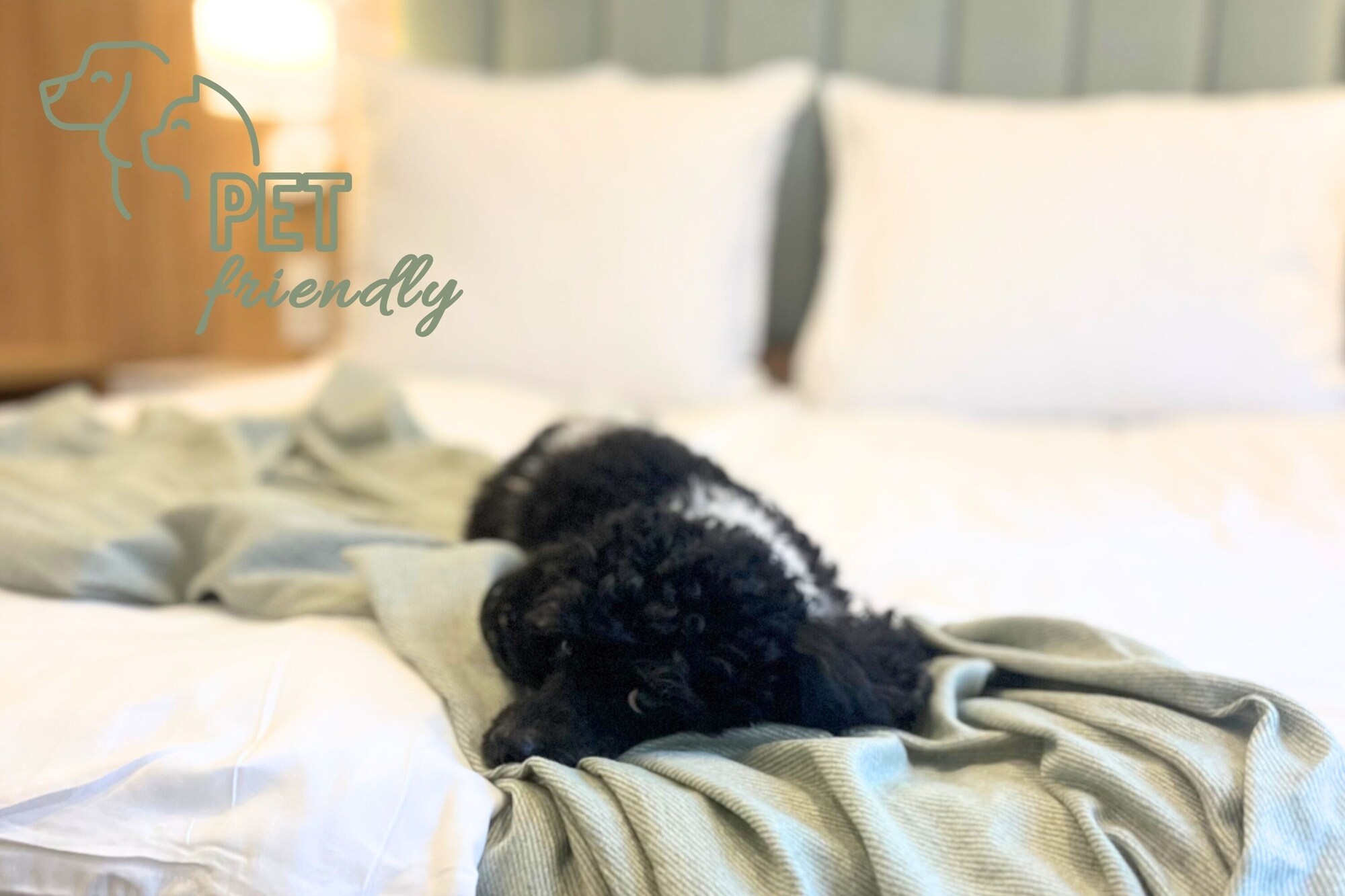 Comfort Single room