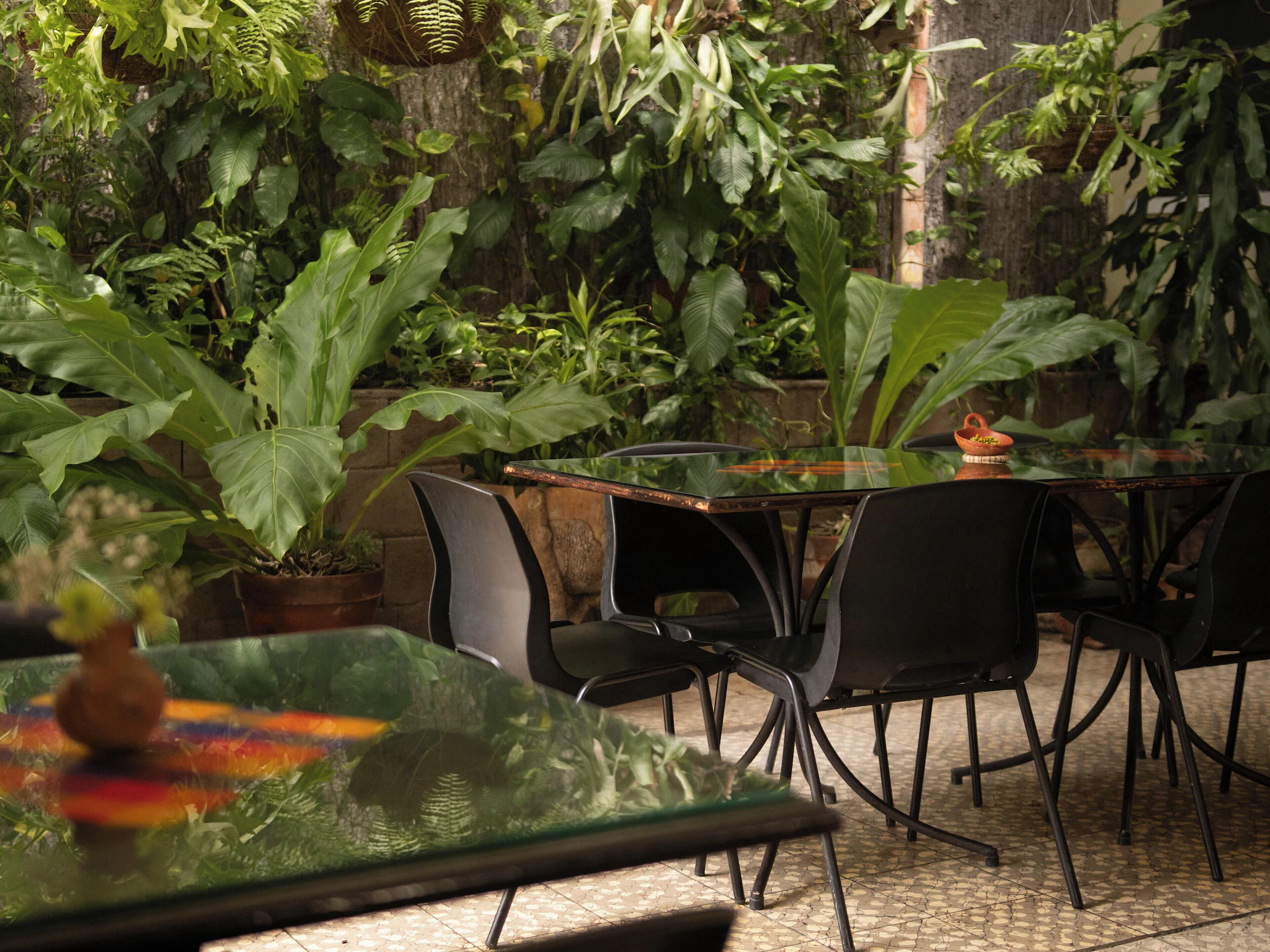 Eco Hotel Mariscal exterior