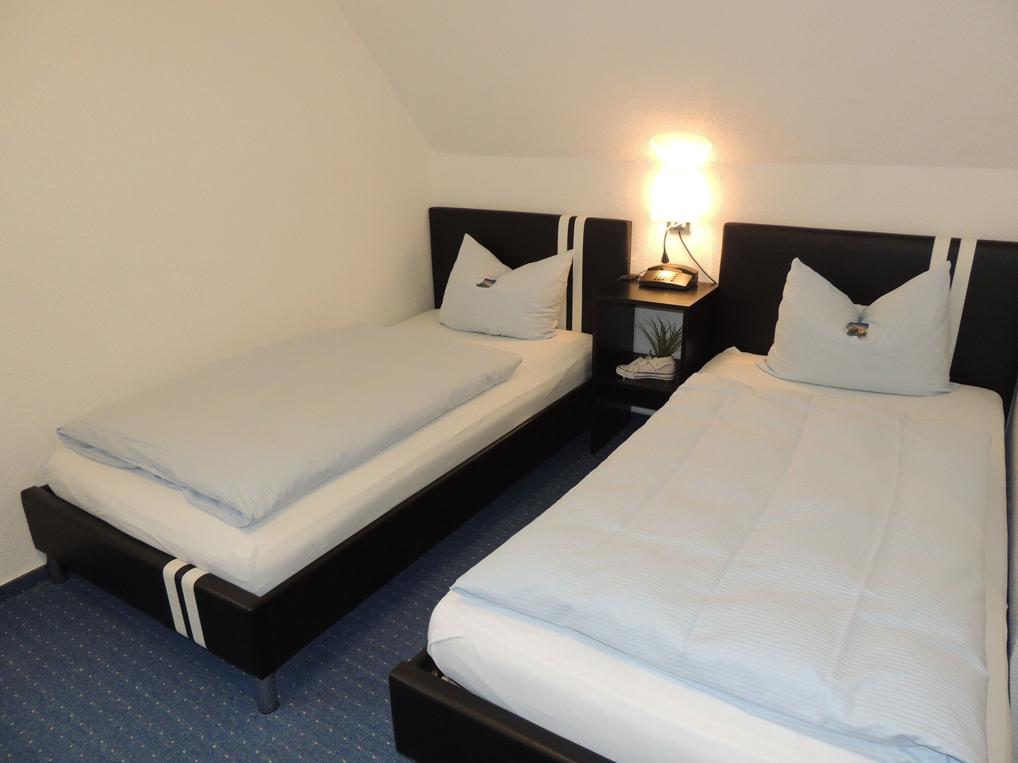 Standard Double room twin beds