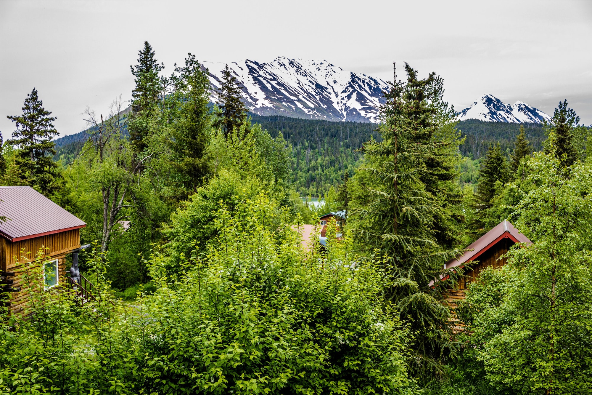 Midnight Sun Log Cabins exterior