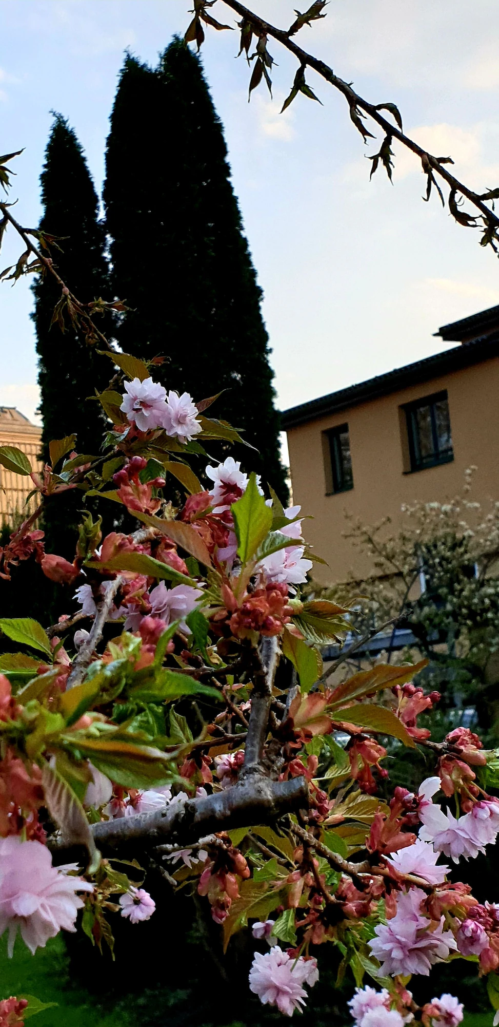 Bilde av Hotel Via Roma