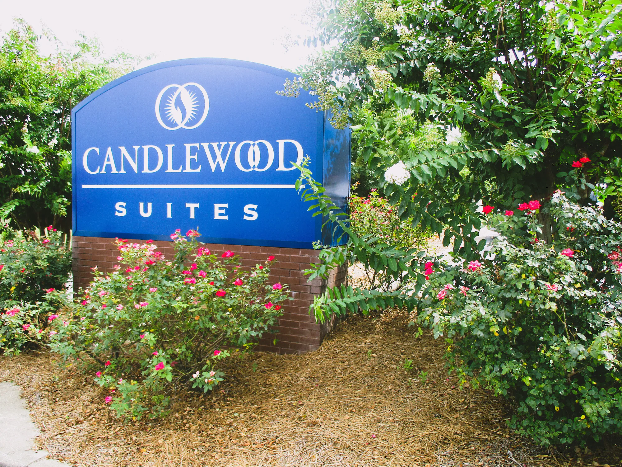 1 Bedroom Single Suite