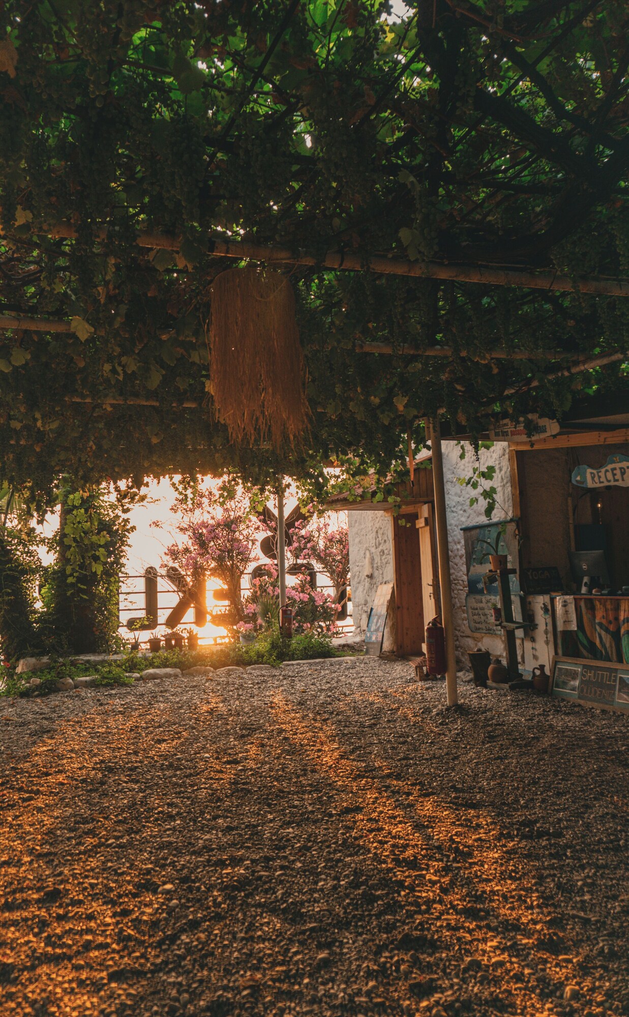 Butterfly Valley Seaside Glamping - Fethiye