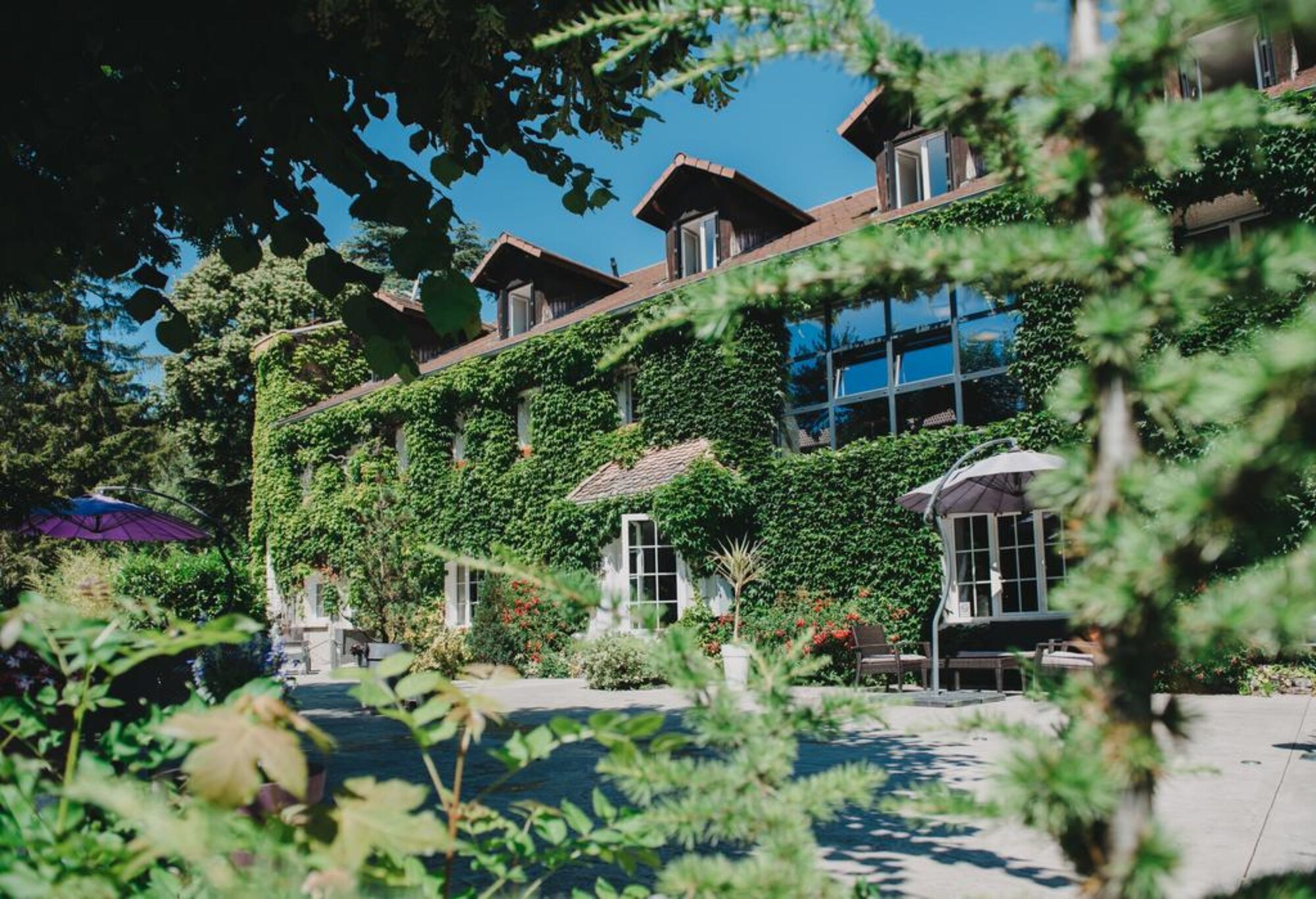 Hôtel Les Olivades - Gap