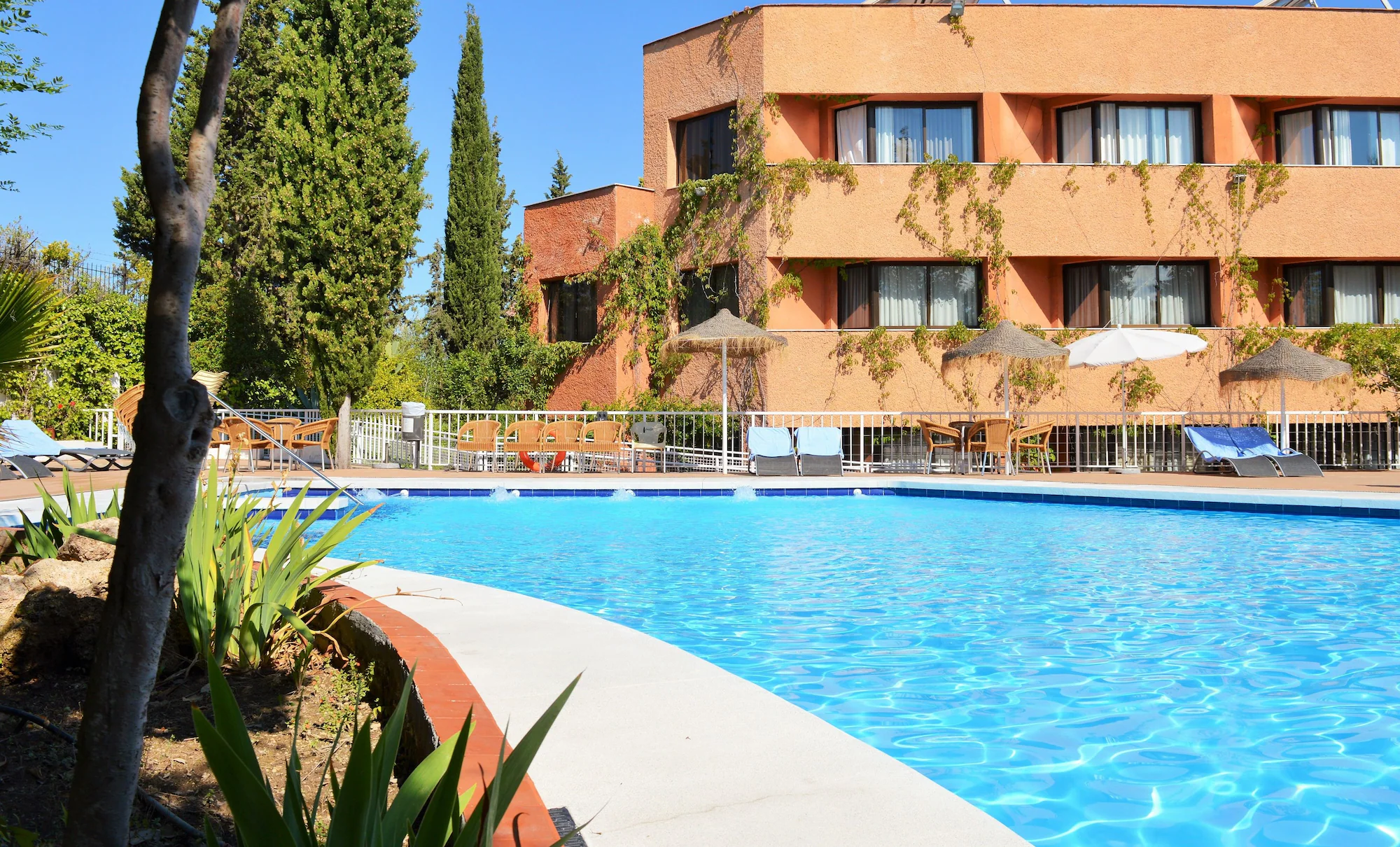Porcel Alixares — photo 41