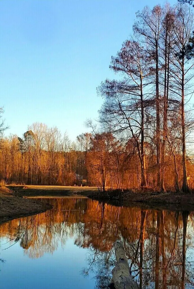 Great Location. Covered Patio/5 Minutes Away From Restaurants Stores Boat Launch - Louisiane