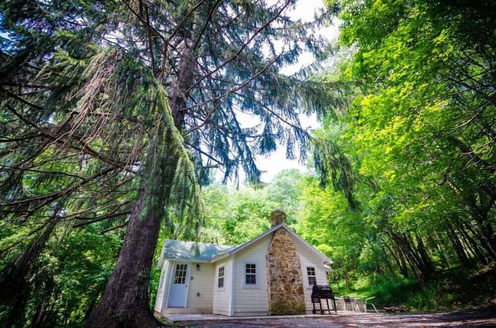 Place In The Pines - Mountain Escape For 2 - Ohiopyle, PA