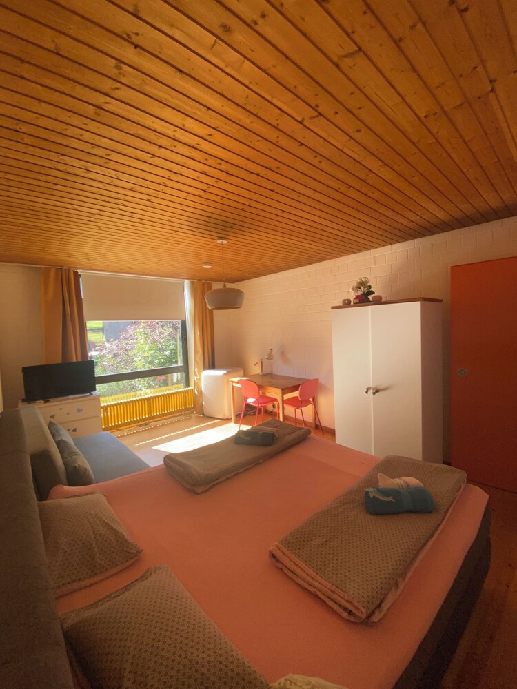 Exklusive Ferienwohnung Miro 25 M² In Ruhiger Lage - Heidelberg