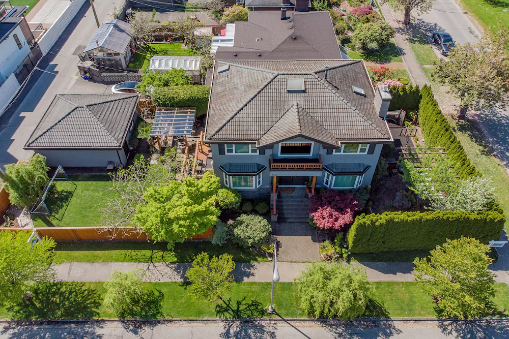 Corkscrew Willow Estate - Vancouver