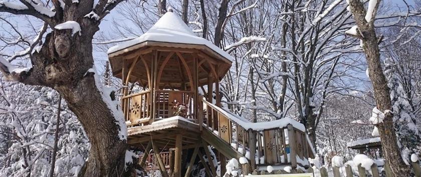 Abant Korudam Bungalov Butik Otel - Mudurnu