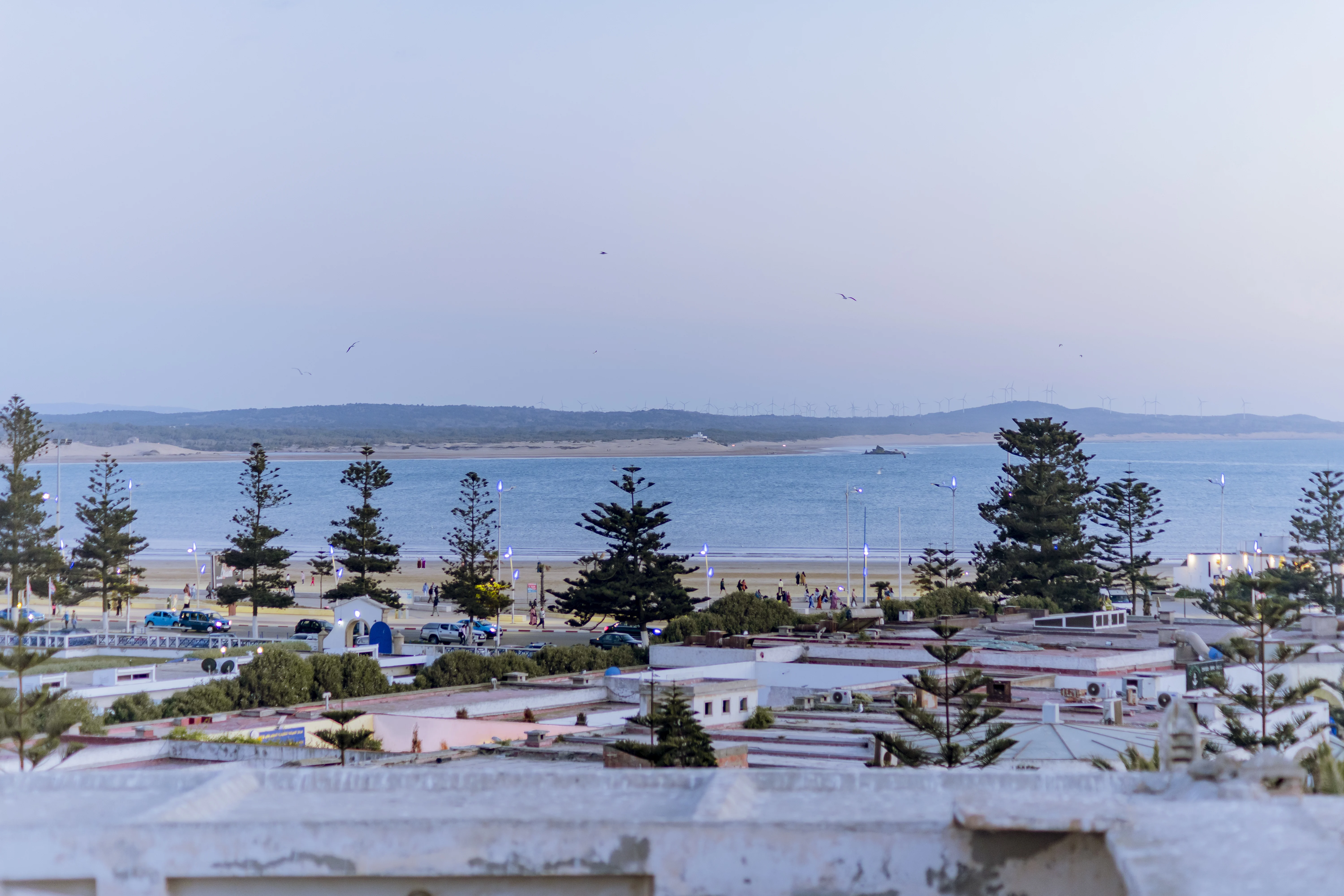 Giraffe Hostel-sea View Rooftop - Essaouira