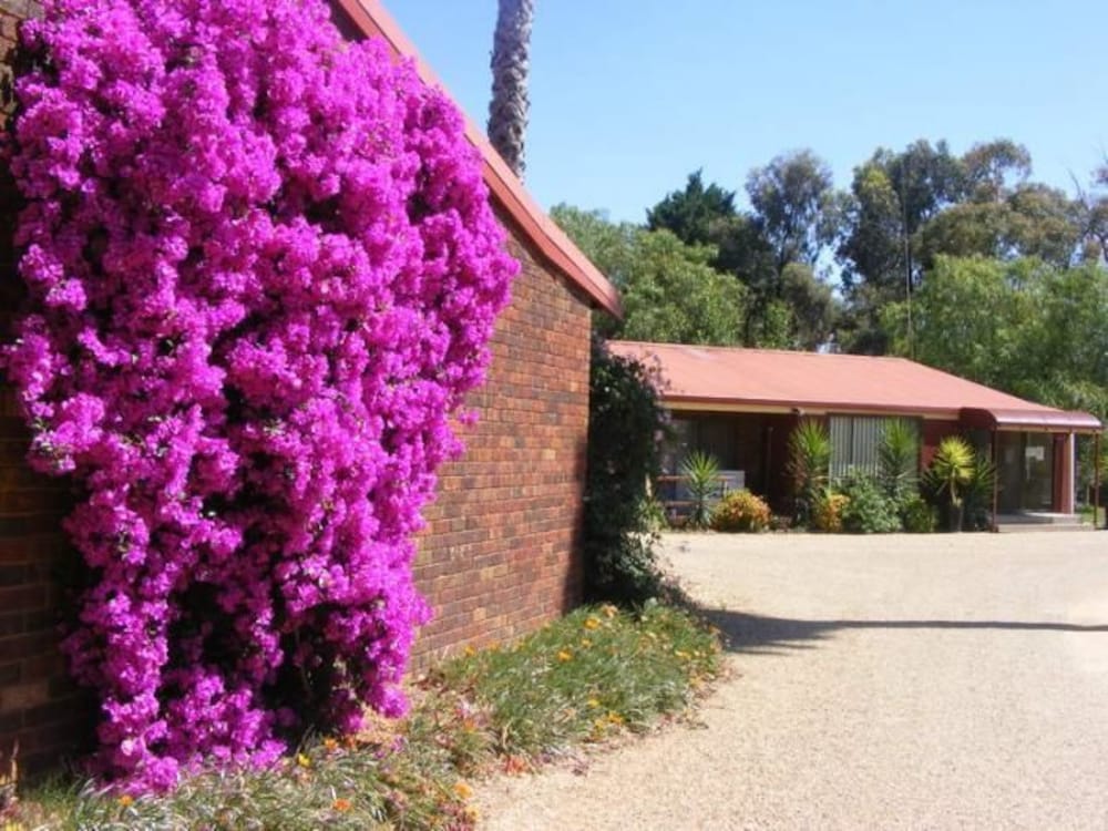 Barooga Golf View Motel exterior