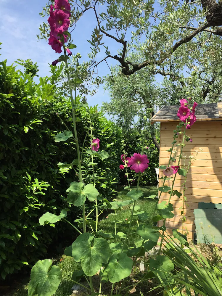 B&b Garda 4u - Desenzano del Garda