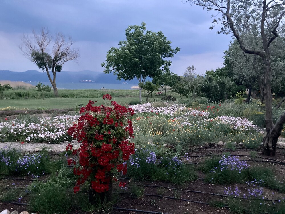 Perfect Home With Private Beach By Iznik Lake - İnegöl