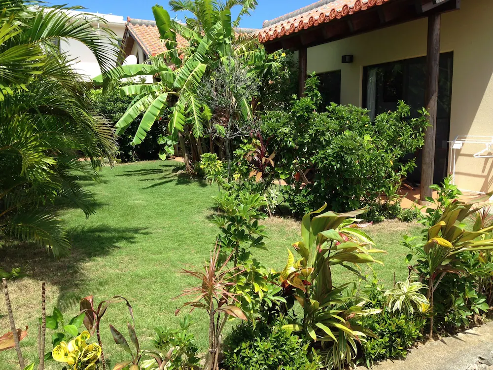 Standard Double room with garden view twin beds