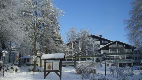 Standard Double room with balcony and with view full double bed